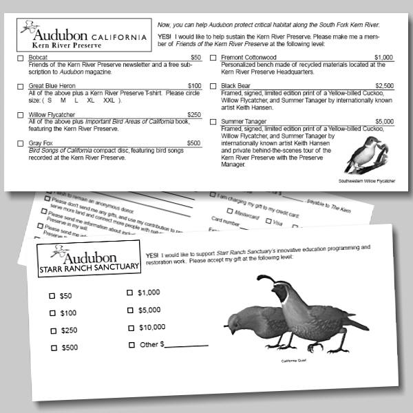 Audubon Donor Cards by Ken Gilliland