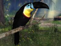 Talking Toucan