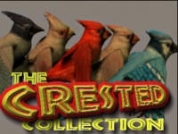Crested Collection