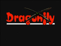 Dragonfly Adventure
