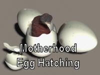 Songbird ReMix Motherhood Egg Hatching Demo