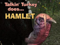 Talkin' Turkey does HAMLET