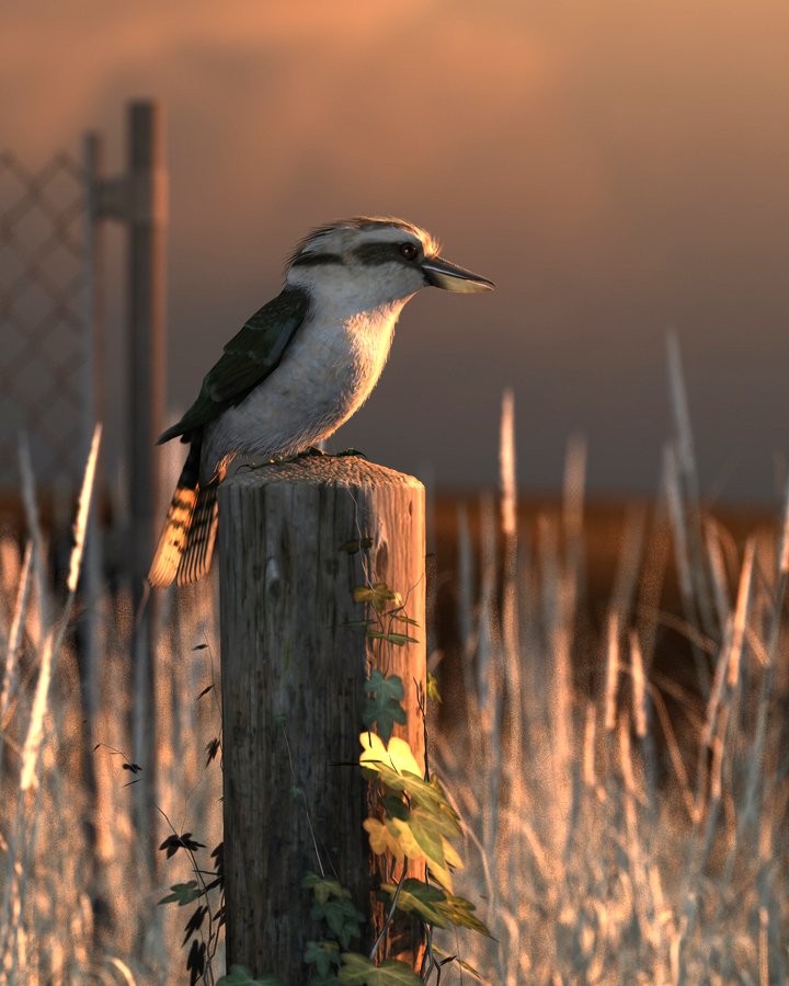 Evening Watch by DaVinci