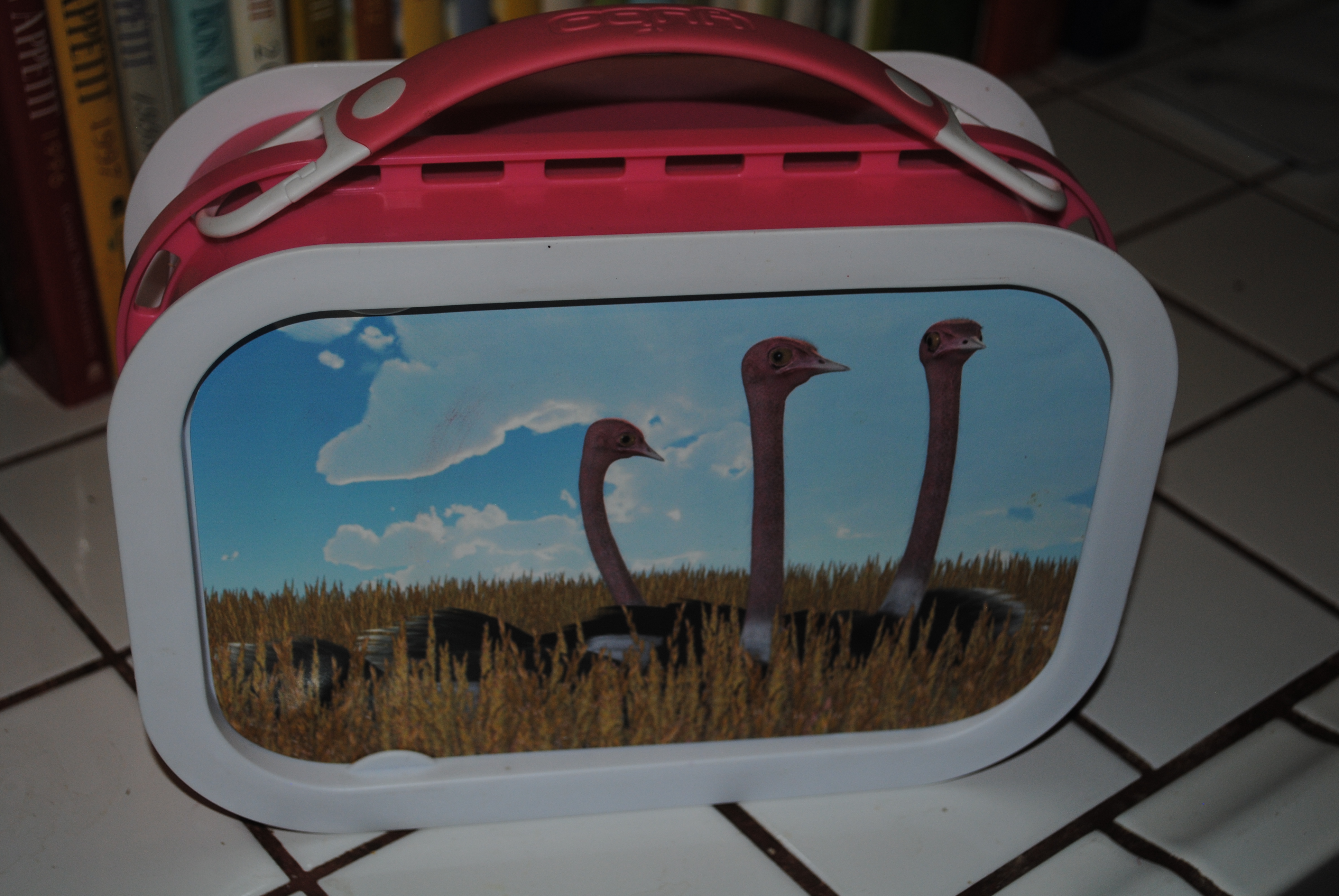 Songbird ReMix Ostriches Lunchbox