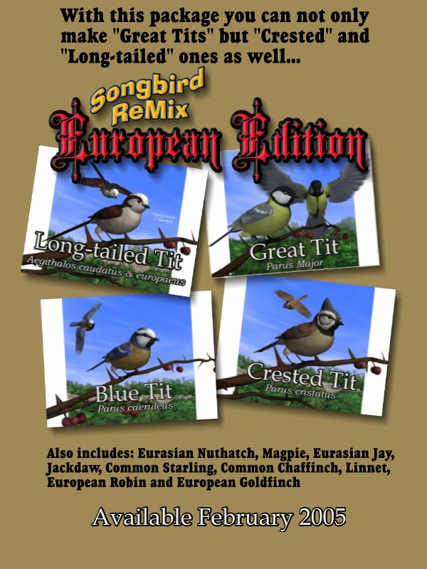 European Edition Ad ©2005 by Ken Gilliland