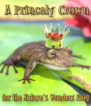 Princely Frog Crown