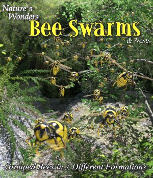 Nature's Wonders Bee Swarms and Nests