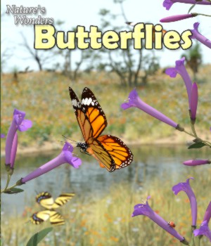 Nature's Wonders Butterflies