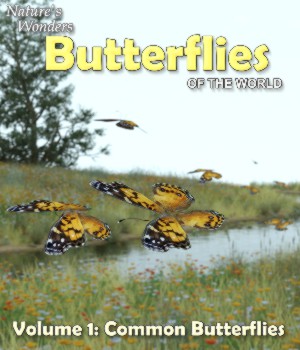 Nature's Wonders Butterflies v1