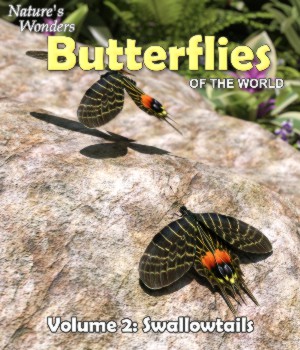 Nature's Wonders Butterflies v2