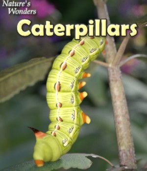 Nature's Wonders Caterpillars