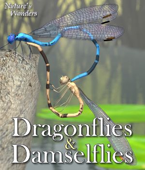 Nature's Wonders Dragonflies & Damselflies