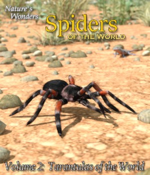 Nature's Wonders Spiders v1