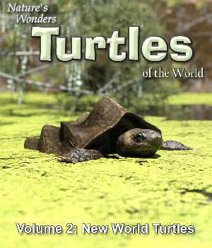Nature's Wonders Turtles of the World Volume 2