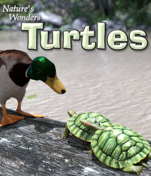 Nature's Wonders Turtles Base Set