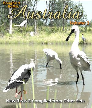 Songbird ReMix Australia Volume 3: Australian Compliation