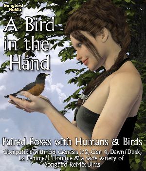 Songbird ReMix A Bird in the Hand