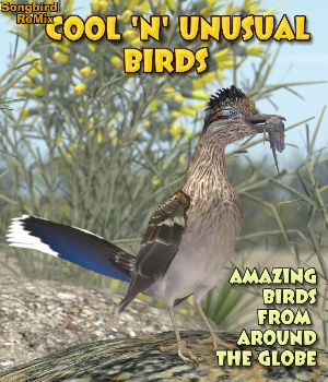 Songbird ReMix Cool & Unusual Birds Volume 1
