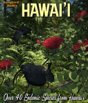 Songbird ReMix Hawai'i