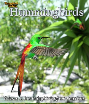 Songbird ReMix Hummingbirds of the World v3