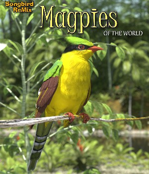 Songbird ReMix Magpies