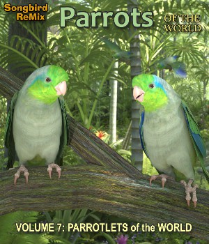 Songbird ReMix Seabirds v4