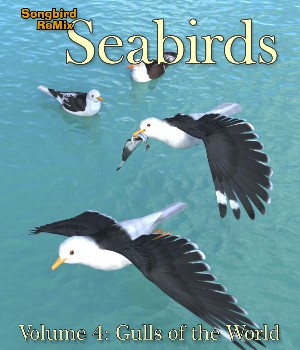 Songbird ReMix Seabirds v4