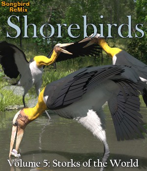 Songbird ReMix Seabirds v4