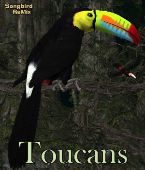 Songbird ReMix Toucans Volume 1<