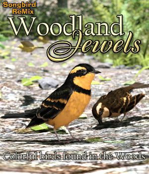 Songbird ReMix Woodland Jewels