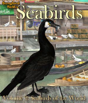 Songbird ReMix Seabirds Volume 2