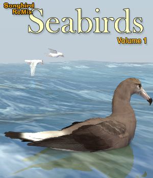 Songbird ReMix Seabirds Volume 1<
