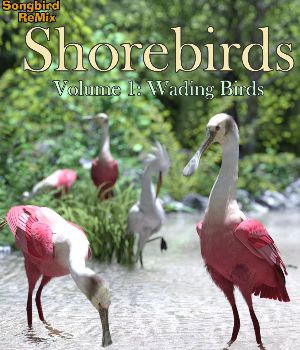 Songbird ReMix Shorebird Volume 1: Wading Birds